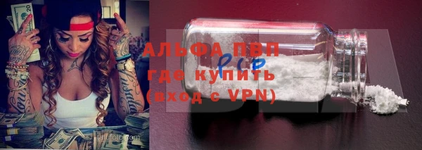 СК Зеленокумск