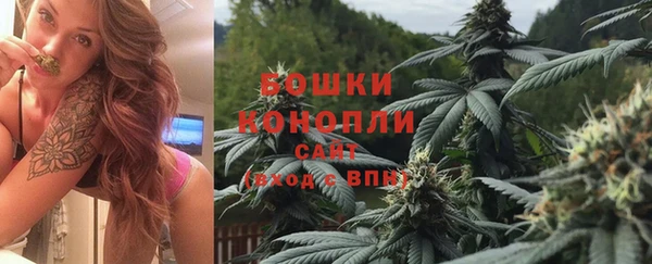 СК Зеленокумск