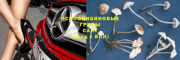 гашик Зерноград