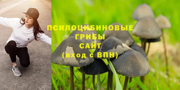 синтетический гашиш Зеленодольск
