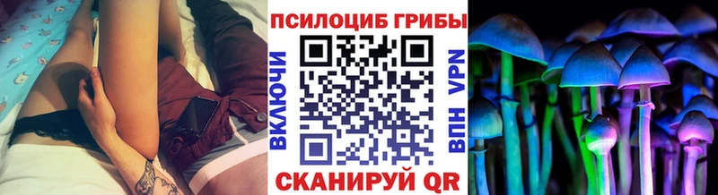 Купить закладки  Ковдор  Галлюциногенные грибы ЛСД 